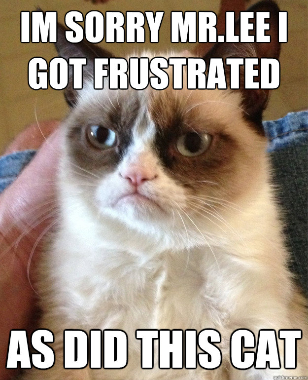 im sorry mr.Lee i got frustrated as did this cat - im sorry mr.Lee i got frustrated as did this cat  Grumpy Cat