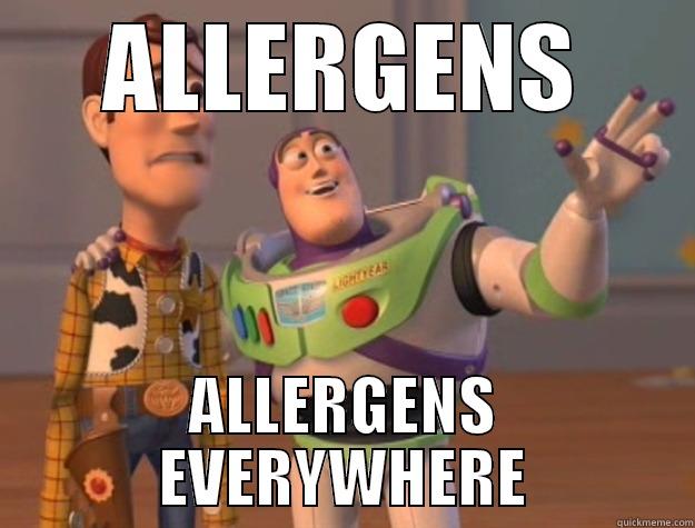 ALLERGENS ALLERGENS EVERYWHERE Toy Story