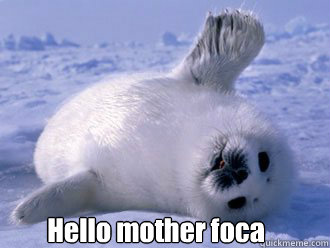 Hello mother foca - Hello mother foca  Misc