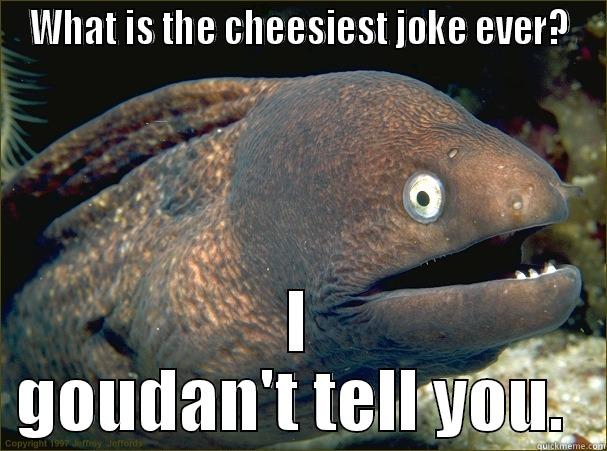 WHAT IS THE CHEESIEST JOKE EVER? I GOUDAN'T TELL YOU.  Bad Joke Eel