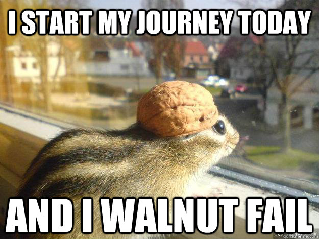 I start my journey today And I walnut fail  Adventure Chipmunk