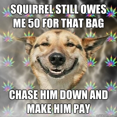 squirrel still owes me 50 for that bag chase him down and make him pay  Stoner Dog