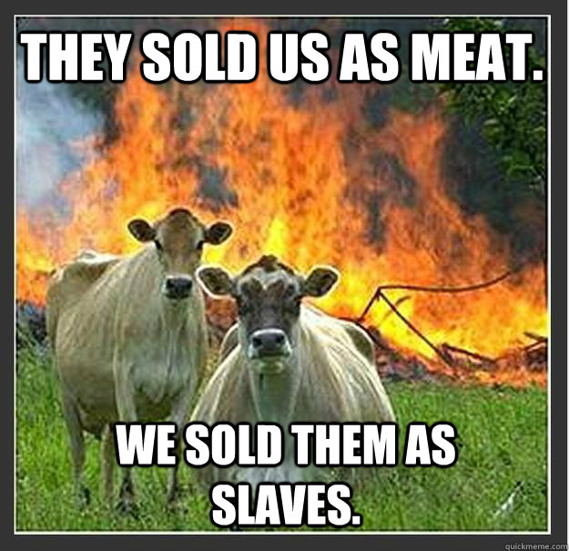 They sold us as meat. We sold them as slaves.  Evil cows