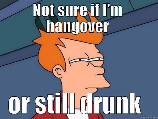 NOT SURE IF I'M HANGOVER OR STILL DRUNK  Futurama Fry