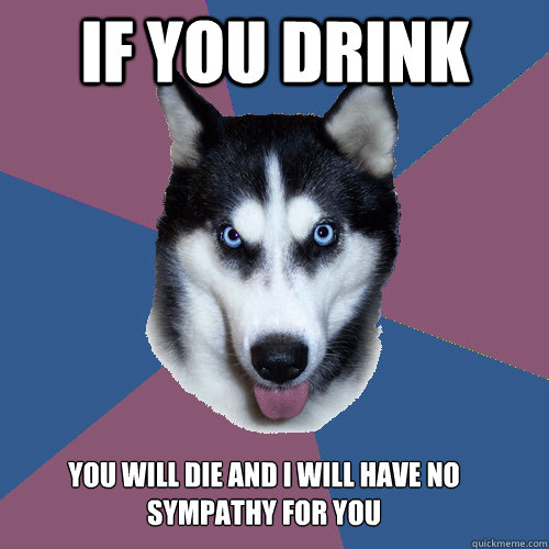 If you Drink You will die and i will have no sympathy for you - If you Drink You will die and i will have no sympathy for you  Creeper Canine