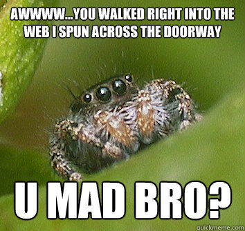 Awwww...you walked right into the web i spun across the doorway u mad bro?  Misunderstood Spider