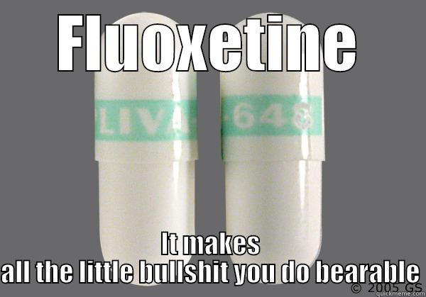 Prozac xxx - FLUOXETINE IT MAKES ALL THE LITTLE BULLSHIT YOU DO BEARABLE Misc