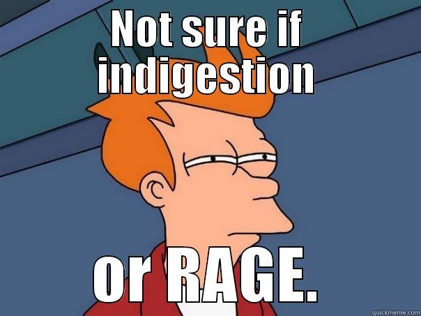 NOT SURE IF INDIGESTION OR RAGE. Futurama Fry