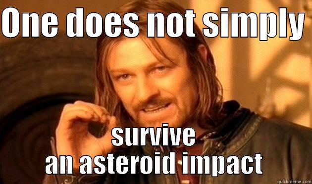 asteroid impact - ONE DOES NOT SIMPLY  SURVIVE AN ASTEROID IMPACT Misc