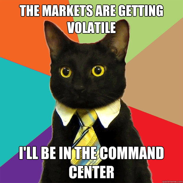 The markets are getting volatile  I'll be in the command center  Business Cat