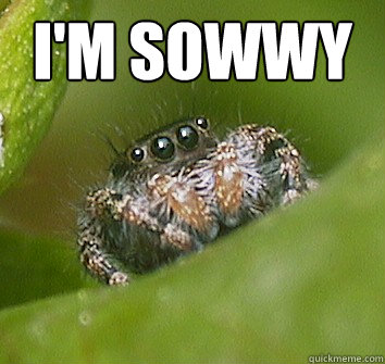 I'm sowwy   Misunderstood Spider