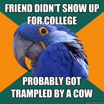 friend didn't show up for college probably got trampled by a cow  Paranoid Parrot