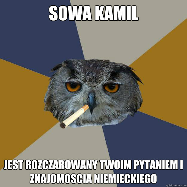 Sowa Kamil jest rozczarowany Twoim pytaniem i znajomoscia niemieckiego   Art Student Owl