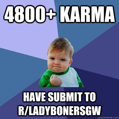 4800+ karma have submit to r/ladybonersgw  Success Kid