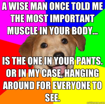 A WISE MAN ONCE TOLD ME THE MOST IMPORTANT MUSCLE IN YOUR BODY... IS THE ONE IN YOUR PANTS. OR IN MY CASE, HANGING AROUND FOR EVERYONE TO SEE.  Advice Dog