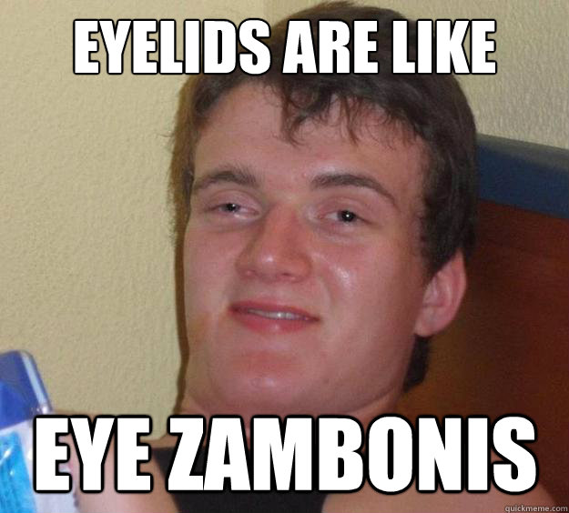 Eyelids are Like  Eye Zambonis - Eyelids are Like  Eye Zambonis  10 Guy