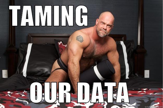 TAMING              OUR DATA Gorilla Man