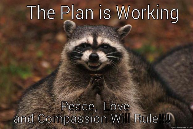     THE PLAN IS WORKING PEACE,  LOVE AND COMPASSION WILL RULE!!!!   Evil Plotting Raccoon