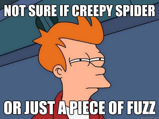 Not sure if creepy spider or just a piece of fuzz - Not sure if creepy spider or just a piece of fuzz  Futurama Fry