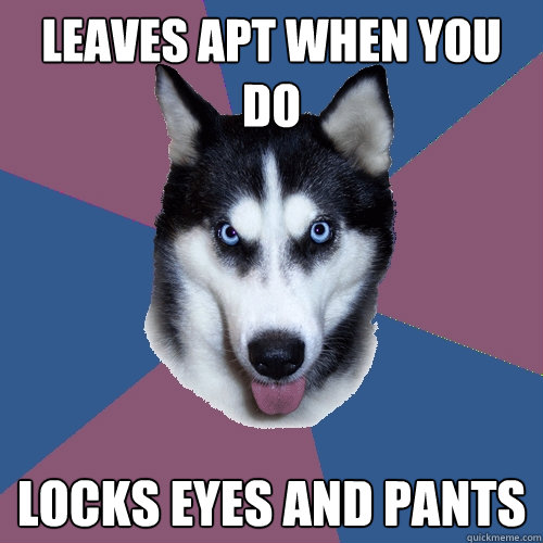 Leaves apt when you do Locks eyes and pants  Creeper Canine