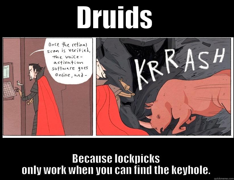 Nimona Druid - DRUIDS BECAUSE LOCKPICKS ONLY WORK WHEN YOU CAN FIND THE KEYHOLE. Misc