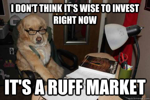 I don't think it's wise to invest right now It's a ruff market  Financial Advice Dog