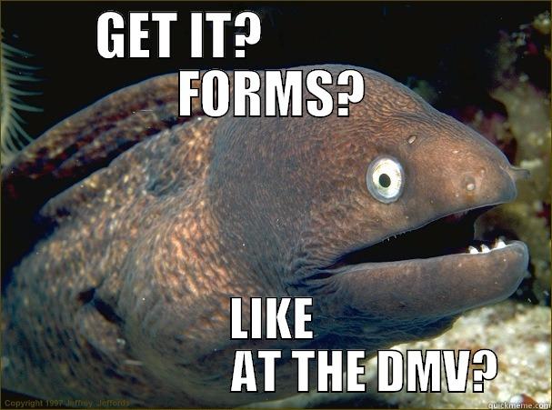 GET IT?                   FORMS? LIKE                     AT THE DMV? Bad Joke Eel