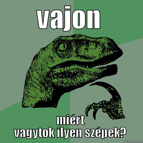 VAJON MIÉRT VAGYTOK ILYEN SZÉPEK? Philosoraptor