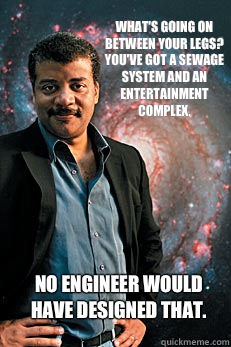 What's going on between your legs? You've got a sewage system and an entertainment complex. No engineer would have designed that.  Neil deGrasse Tyson