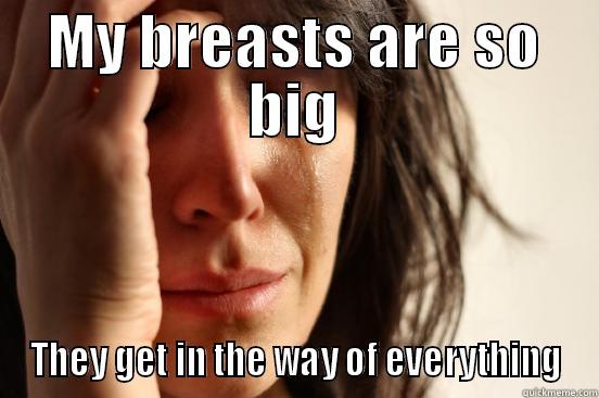 MY BREASTS ARE SO BIG THEY GET IN THE WAY OF EVERYTHING First World Problems