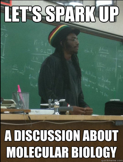 Let's spark up a discussion about molecular biology  Rasta Science Teacher