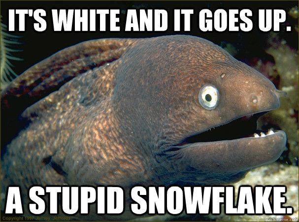 it's white and it goes up. A stupid snowflake.  Bad Joke Eel