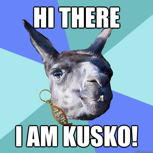 Hi there I am Kusko! - Hi there I am Kusko!  Christian Mama Llama