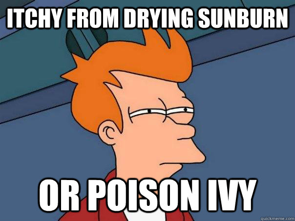 Itchy from drying sunburn or poison ivy  Futurama Fry