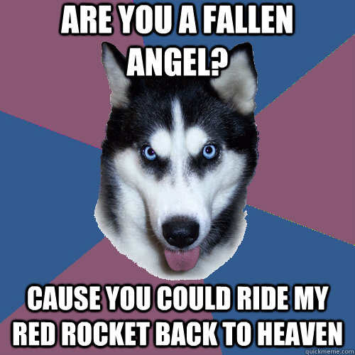 aRE YOU A FALLEN ANGEL? CAUSE YOU COULD RIDE MY RED ROCKET BACK TO HEAVEN - aRE YOU A FALLEN ANGEL? CAUSE YOU COULD RIDE MY RED ROCKET BACK TO HEAVEN  Creeper Canine