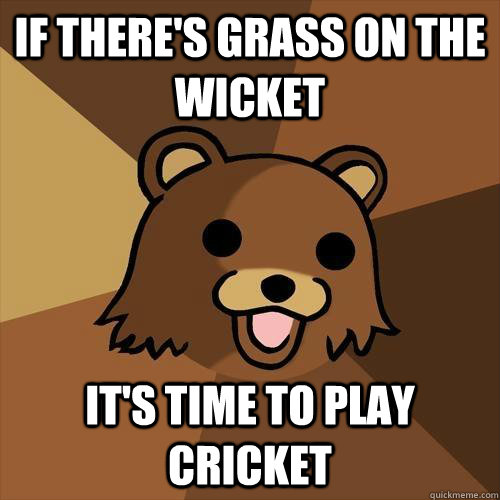 If there's grass on the wicket It's time to play cricket - If there's grass on the wicket It's time to play cricket  Pedobear