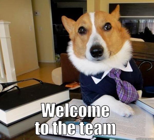  WELCOME TO THE TEAM Lawyer Dog