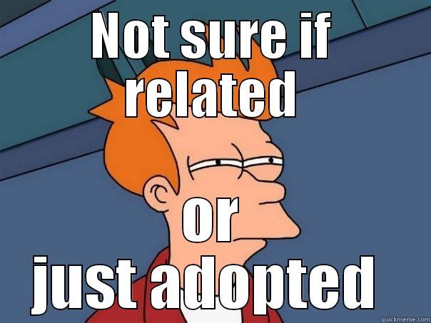 NOT SURE IF RELATED OR JUST ADOPTED  Futurama Fry