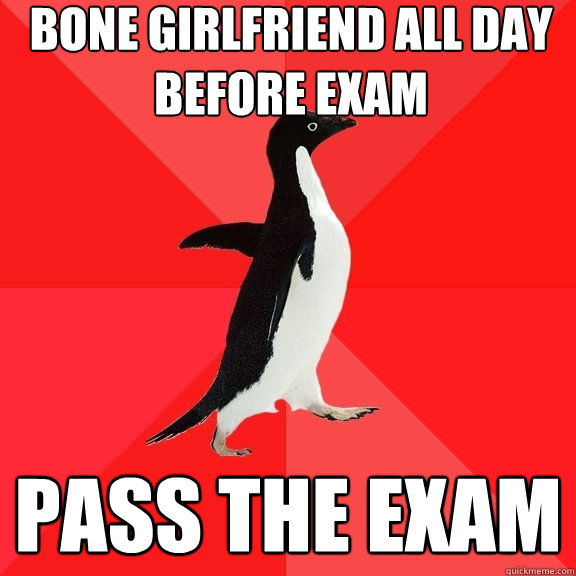 bone girlfriend all day before exam pass the exam  Socially Awesome Penguin