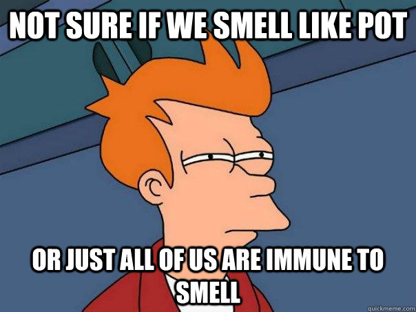 not sure if we smell like pot Or just all of us are immune to smell - not sure if we smell like pot Or just all of us are immune to smell  Futurama Fry