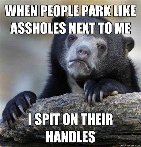 When people park like assholes next to me i spit on their handles  Confession Bear