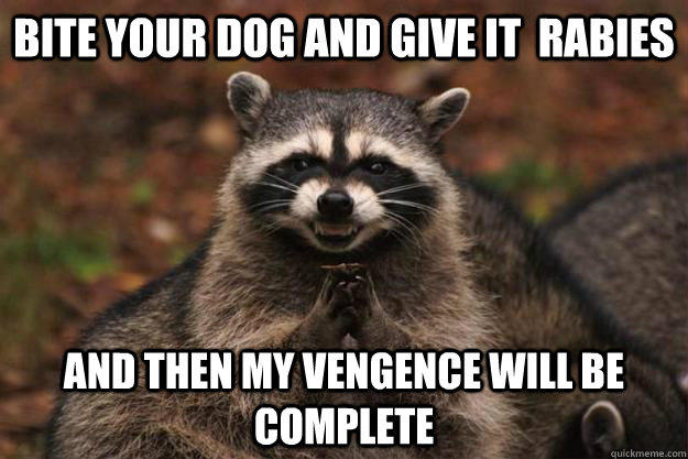 Bite your dog and give it  rabies And then my Vengence will be complete  Evil Plotting Raccoon