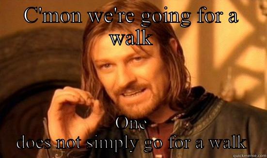 C'MON WE'RE GOING FOR A WALK ONE DOES NOT SIMPLY GO FOR A WALK Boromir