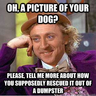 oh, a picture of your dog? Please, tell me more about how you supposedly rescued it out of a dumpster  Condescending Wonka