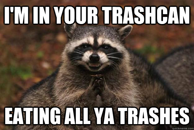 I'm in your trashcan Eating all ya trashes  - I'm in your trashcan Eating all ya trashes   Evil Plotting Raccoon