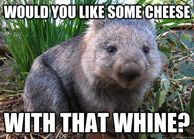 Would you like some cheese with that whine? - Would you like some cheese with that whine?  Dad Joke Wombat