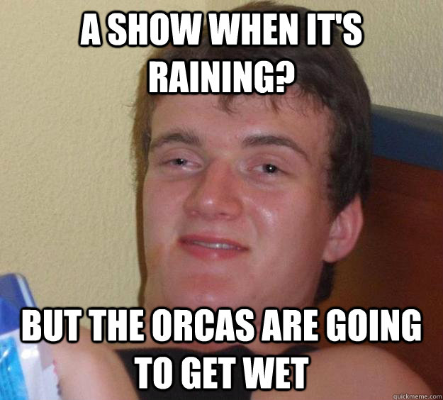 a show when It's raining? but The orcas are going to get wet  10 Guy