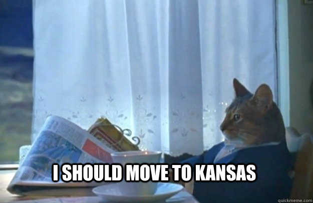 I should move to Kansas  Sophisticated Cat