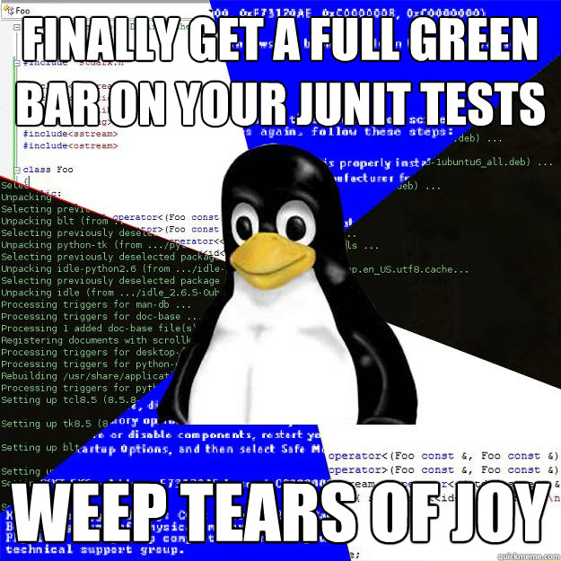 Finally get a full green bar on your JUnit tests Weep tears of joy  Computer Science Penguin