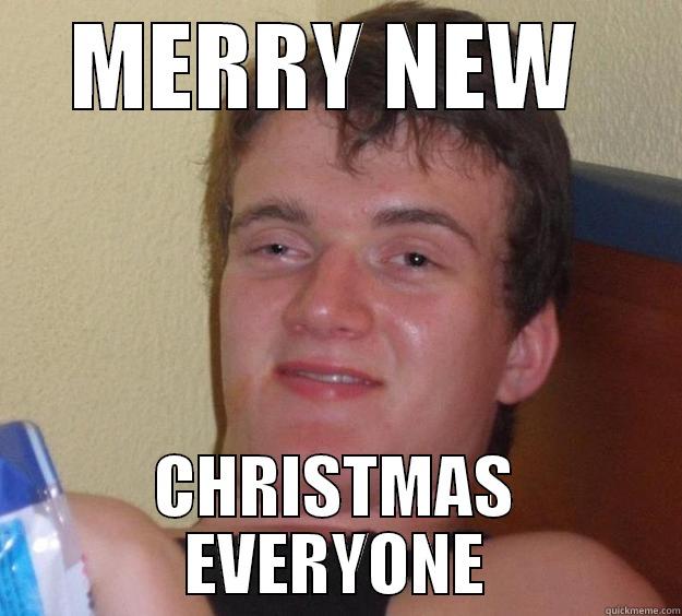 MERRY NEW  CHRISTMAS EVERYONE 10 Guy